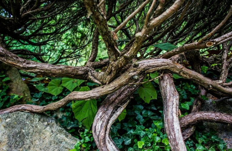 식물 뿌리에서 착안한 신기술… 물속에서도 벽돌을 부수는 로봇 장치 개발