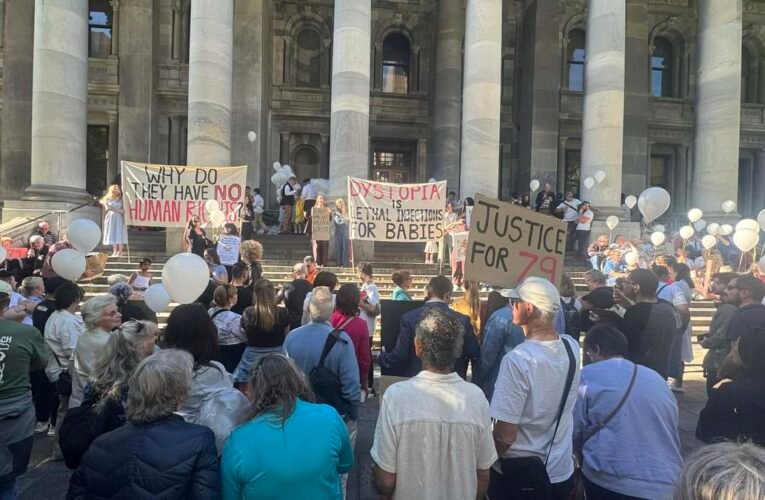 남호주(South Australia)가 또 다른 낙태 제한 법안을 막았습니다.