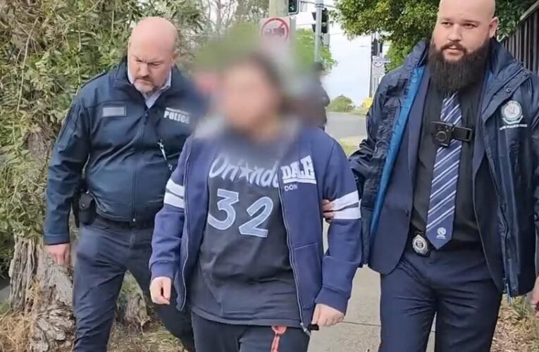 David Dekesian은 법원이 22,000개 이상의 파일에 접근할 수 있었던 포르노 중독을 인정한 후 감옥에 갇히지 않았습니다.