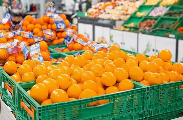 Mercadona는 올해 전국 오렌지 131,000톤을 공급할 예정입니다.