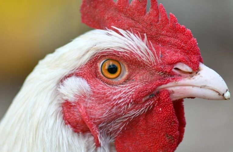 정부는 위험이 현실적이며 주의가 필요하다고 경고