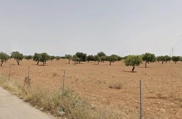 Maratzi의 Ferret Solar Park는 인근 주민들의 반대에도 불구하고 승인을 받았습니다.