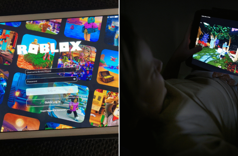 아동 안전 전문가들은 몸단장에 대한 두려움 때문에 Roblox를 호주의 소셜 미디어 연령 금지 대상에 포함시킬 것을 요구합니다.