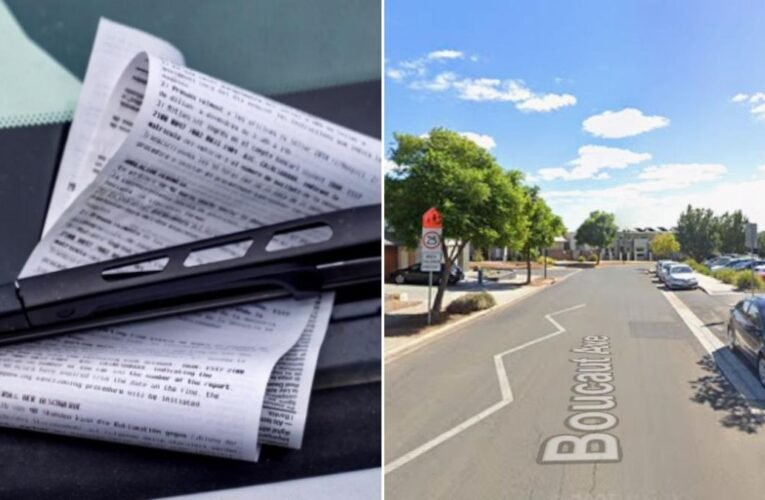 남호주 여성, 이중주차법 폭로로 시의회와의 5만달러 싸움에서 승리