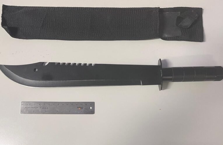 애들레이드에서 10대 소년이 마체테를 든 남성을 소유한 혐의로 체포됐다.