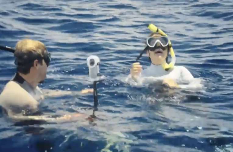 고래상어와 함께한 Gotson Matulisin과 Sylvia Abril의 멋진 순간: “나는 그 안에서 내 모습을 보았습니다.”