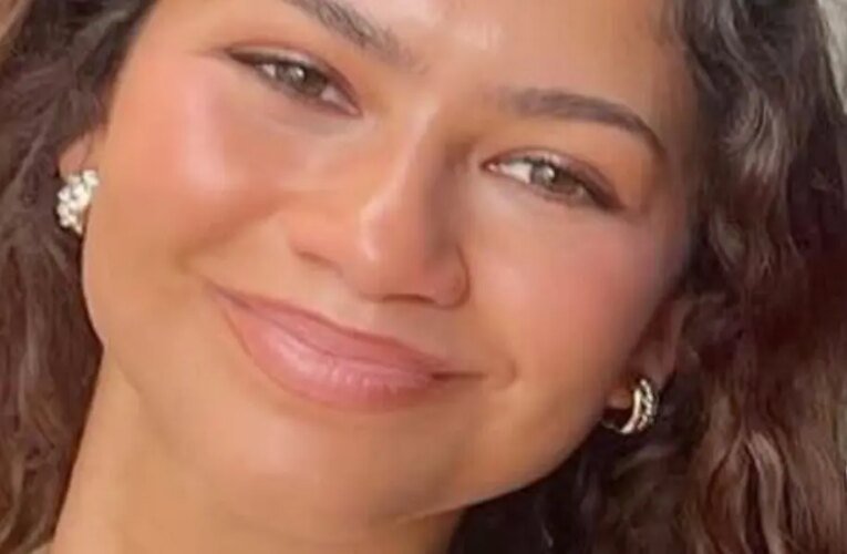 젖꼭지가 드러나는 상의를 입은 젠다야는 ‘빤히 쳐다보지 않기가 어렵다’