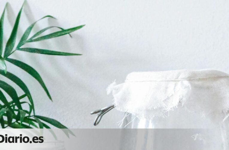 콤부차는 무엇이며 왜 유행하게 되었나요?