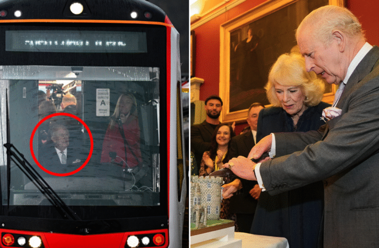 찰스 왕세자, 웨일스 트램 열차 운전으로 77번째 생일 축하