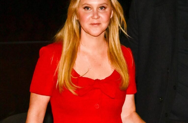 Amy Schumer, 체중 감량 전 인스타그램 사진 삭제