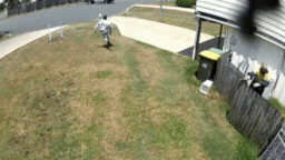 용감한 사업가가 사냥용 칼로 무장한 맥케이 집에 침입한 10대 침입자를 막았습니다.