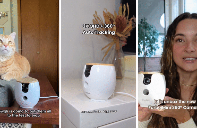 작은 아파트를 위한 최고의 애완동물 카메라: 새로운 Furbo Mini 360°를 최고의 추천으로 리뷰합니다.