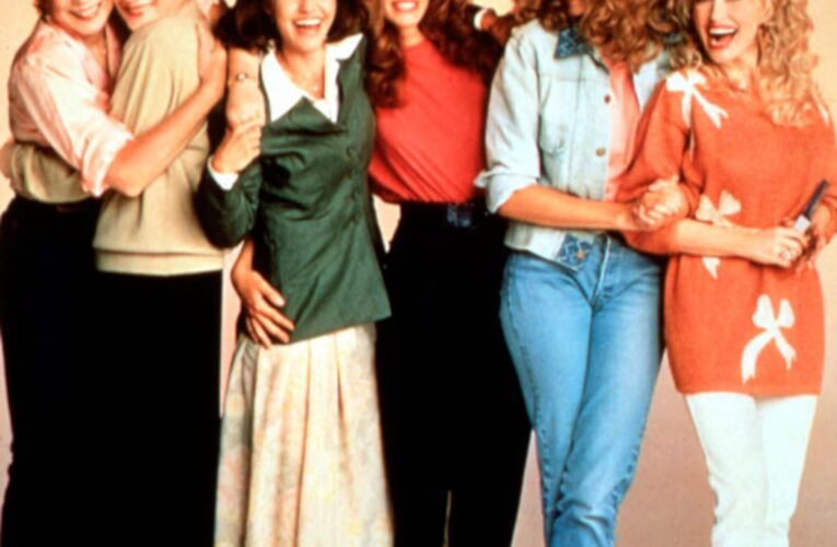 당신을 울지 않을 강철 태산목의 비밀