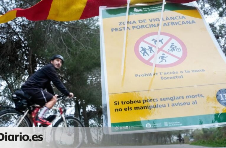 유럽 ​​돼지농장 카탈로니아 돼지독감의 핵심