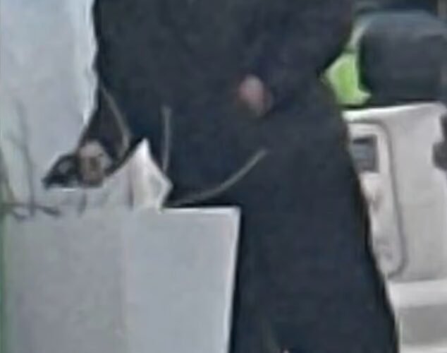 D.C. 주 방위군 총격범은 아프가니스탄에서 탈출한 뒤 4년 동안 미국에서 유령처럼 살았고 영어를 못한다.