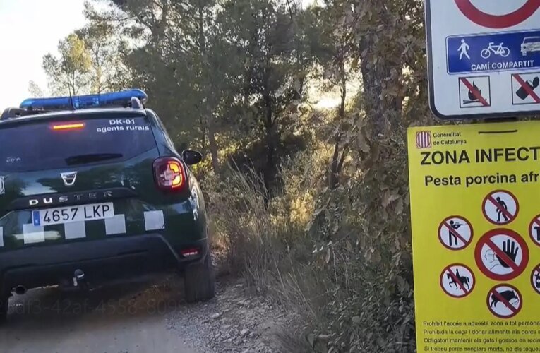바르셀로나에서 아프리카돼지열병이 발생한 이후 여러 국가에서 스페인산 돼지고기 수입을 금지했습니다.